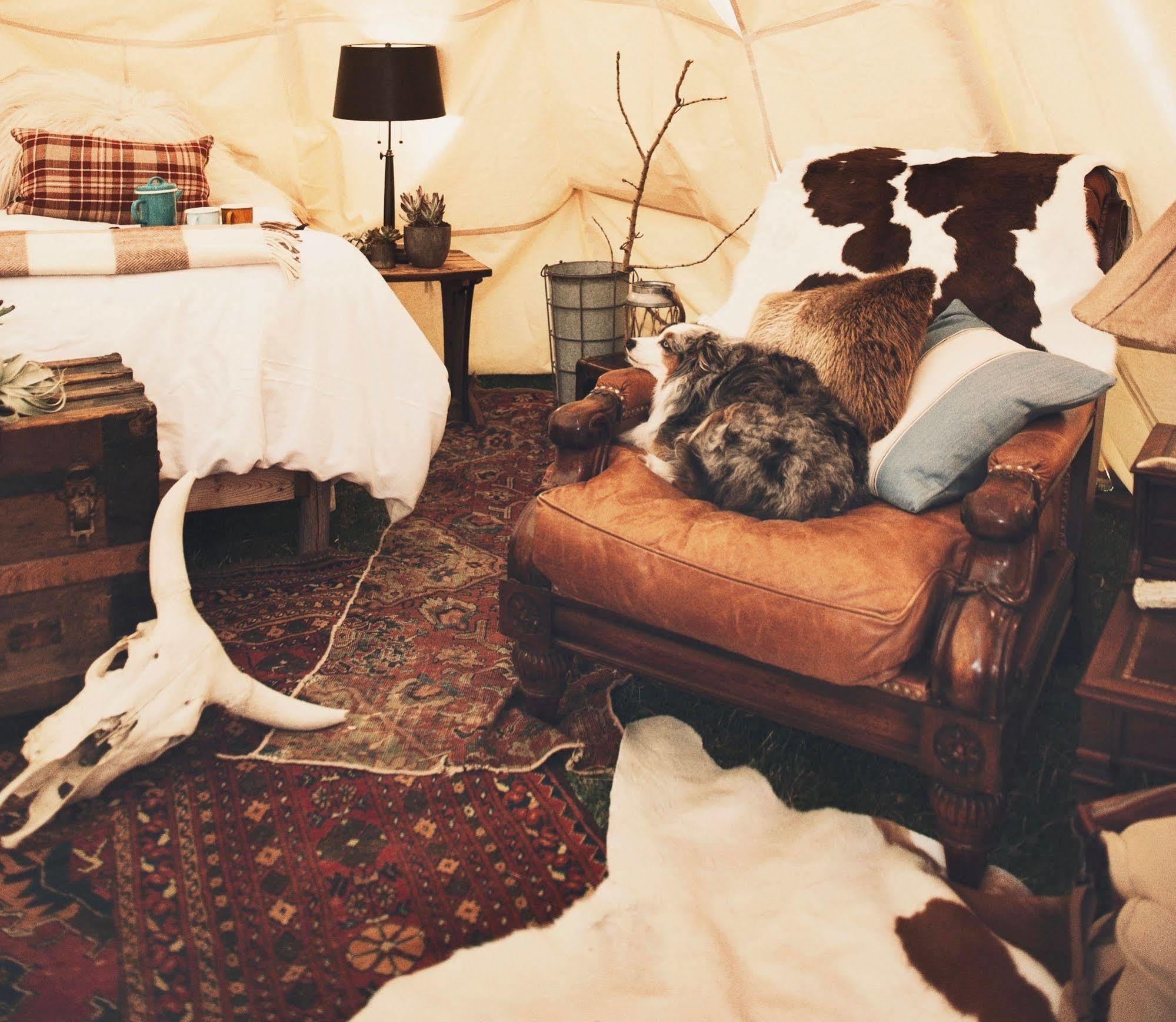 Dreamcatcher Tipi Hotel Gardiner Exterior foto